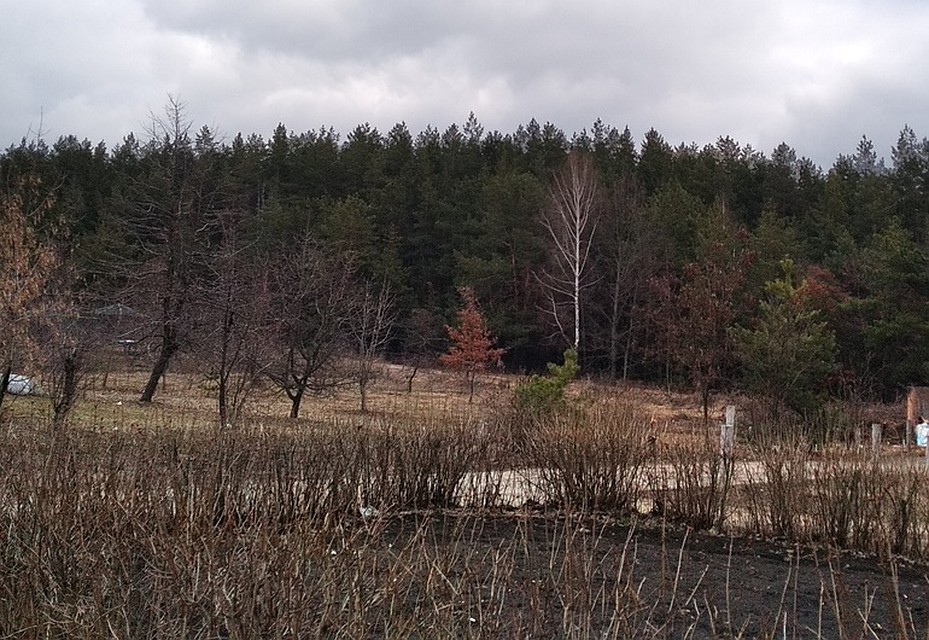 Принять участие в акции может любой желающий