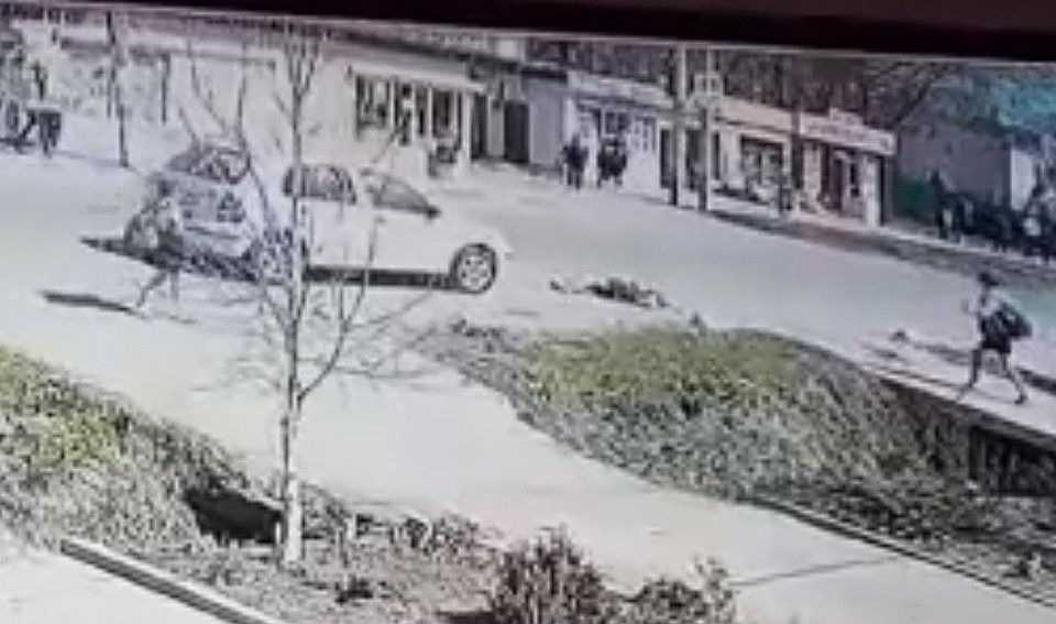 Стоп-кадр из видео.