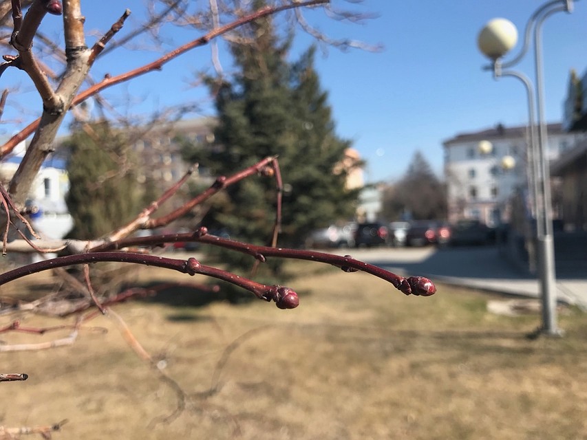В Тюмень идет холодная погода