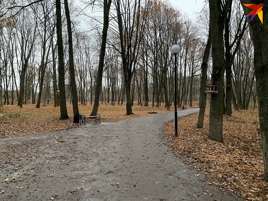 В Орле уточнили перечень работ в парке «Ботаника» на 2019 год