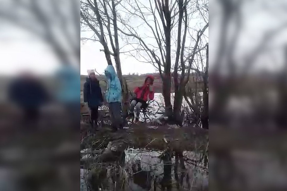 Дети соорудили себе качели прямо на болоте. Стоп-кадр с видео vk.com/civilpatrol.