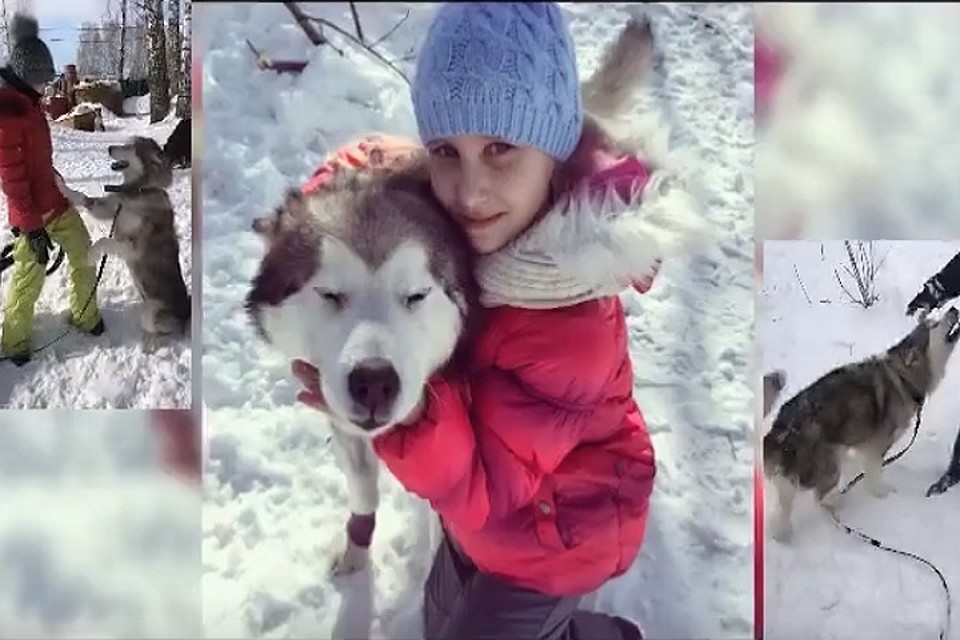 Мила очень любит новых хозяев, ей грустно от того, что она не может слишком часто их обнимать.