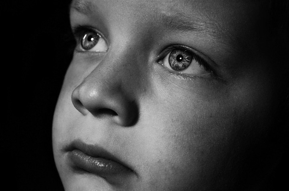 Малыши часто сидели одни без еды и воды. Фото с сайта pixabay.com