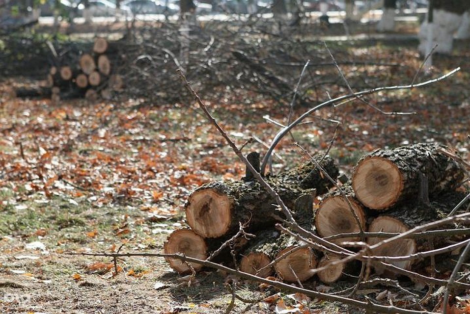 Фото: пресс-служба администрации Краснодарского края