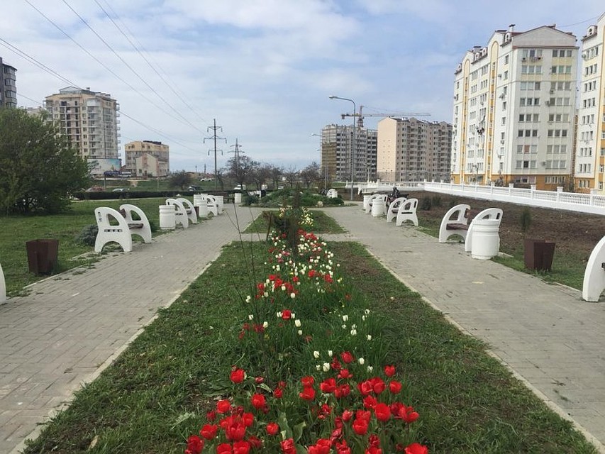 Фото: пресс-служба Правительства Севастополя