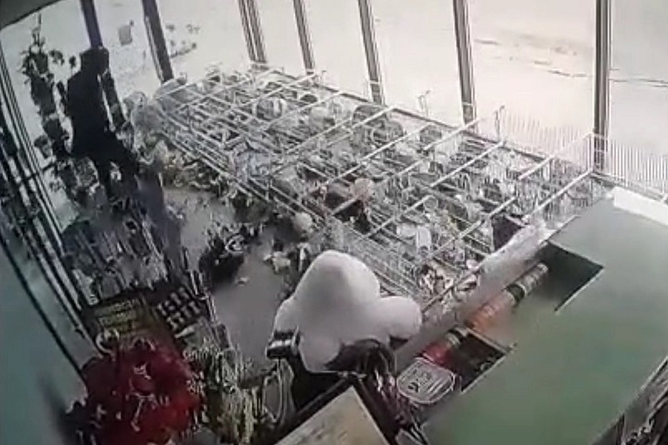 Фото: скриншот с видео