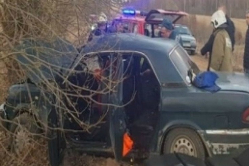 Автомобиль вылетел в кювет Фото: ГУ МЧС России по Тверской области