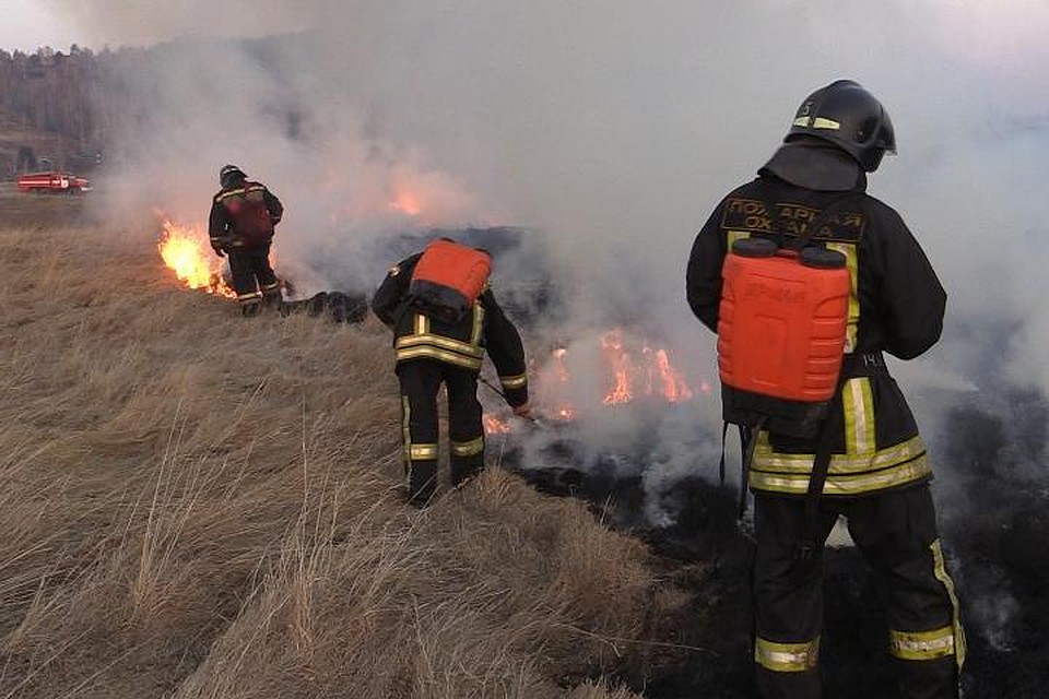 Почти 100 человек оштрафовали за пал травы в Иркутской области.