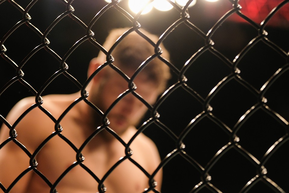 На турнире UFC Fight Night в «Юбилейном» в Петербурге болельщики увидели пять нокаутов
