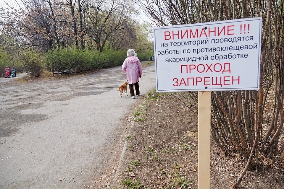 Парки начнут обрабатывать во вторник 23 апреля