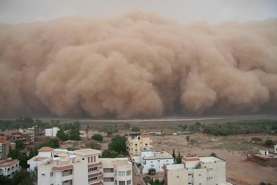 Пылевое облако из Сахары уже накрыло всю Европу. Фото: WMO
