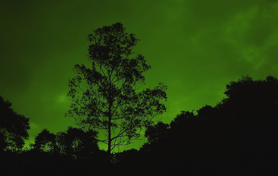 Фото: pixabay.com