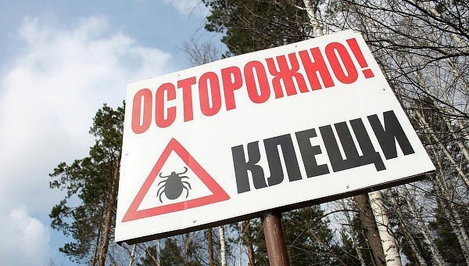 Фото: Архив