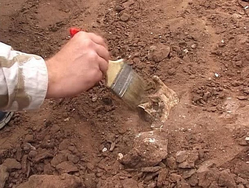 Во дворе недавно купленного дома нашли останки взрослого и ребенка