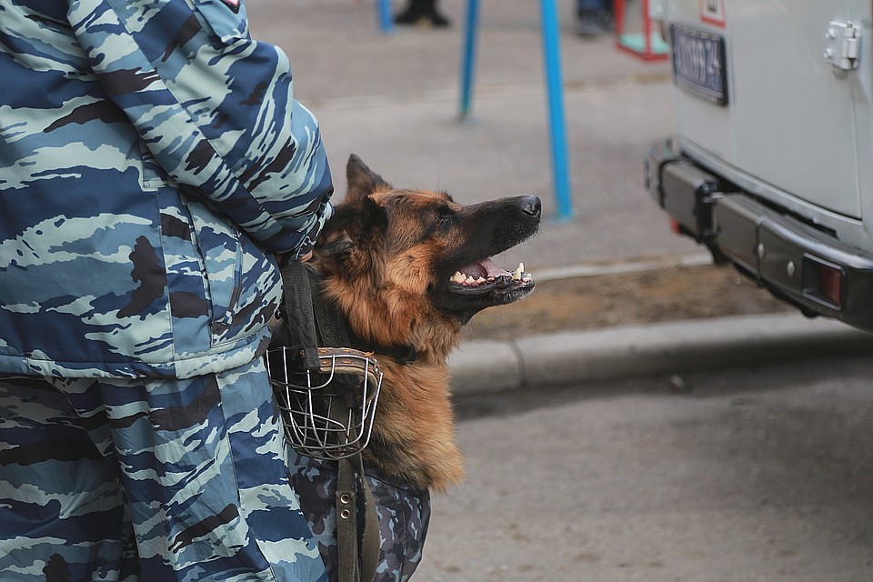 Жительница Хакасии «заминировала» школу с телефона своего родственника