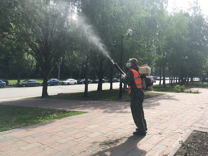 Фото: администрация Самары