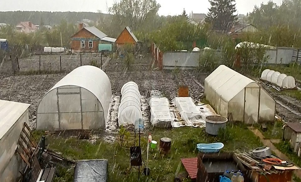 Фото: скриншот видео