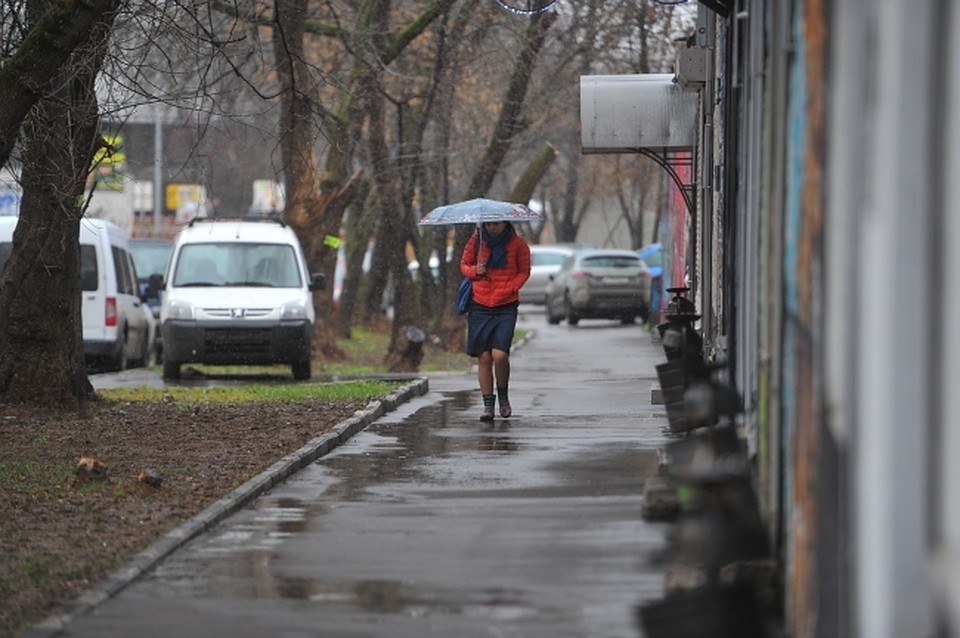 Погода в Хабаровске на 22 мая 2019 года: днем до +17 градусов, дождь