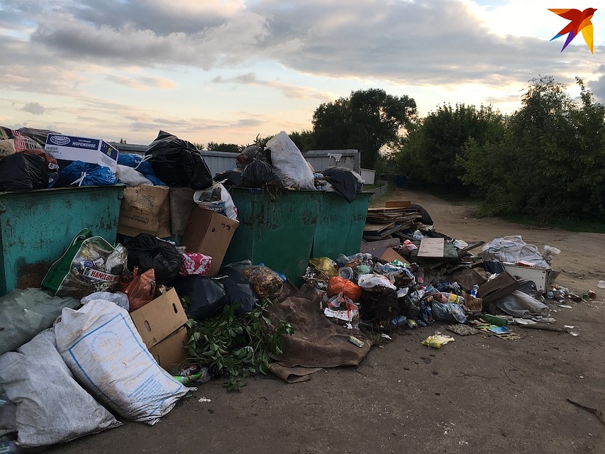 В Орле чиновники не согласились с опубликованным регоператором графиком вывоза мусора