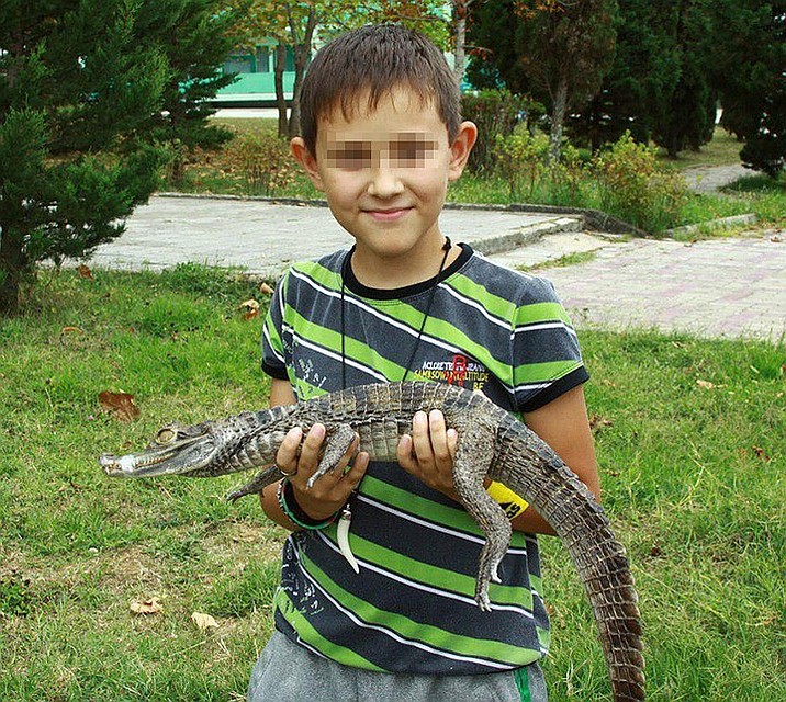 Нападавший — 15-летний Максим Федосеев