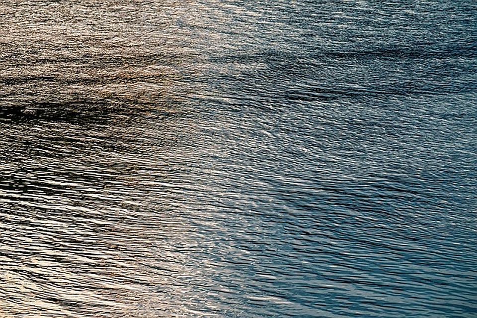 ФОТО: pixabay.com.