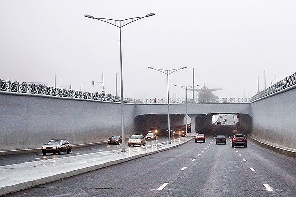 Вдоль Московского шоссе высадят новые деревья и кустарники