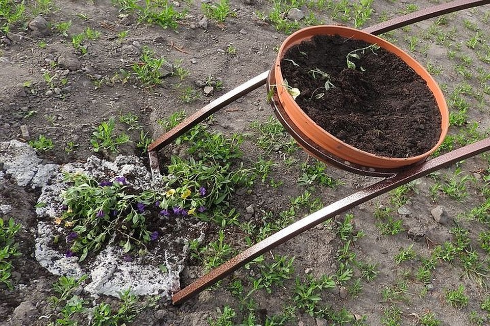 Сейчас вандалов ищут полицейские.