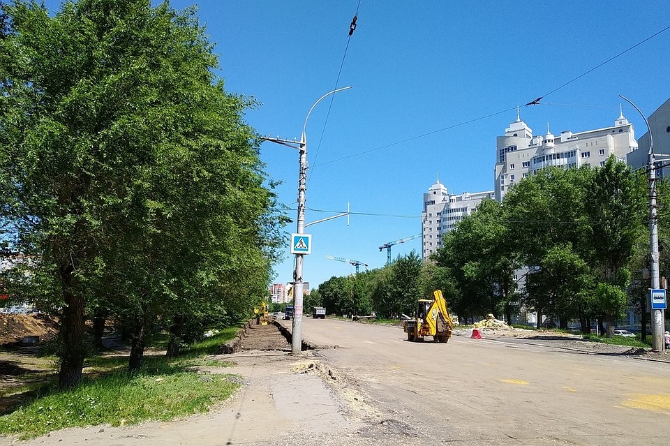 В Липецке на проспекте Победы спилят 170 деревьев