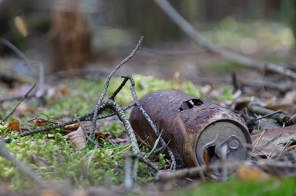 ФОТО: pixabay.com.