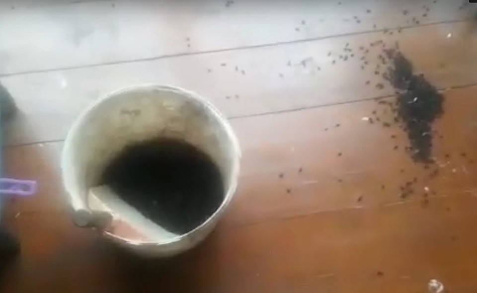 Фото: скриншот с видео паблика "Типичный Екатеринбург"