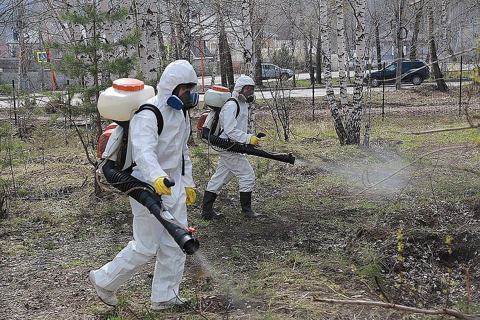 В Красноярске и крае активизировались клещи. На фото - обработка города от паразитов.