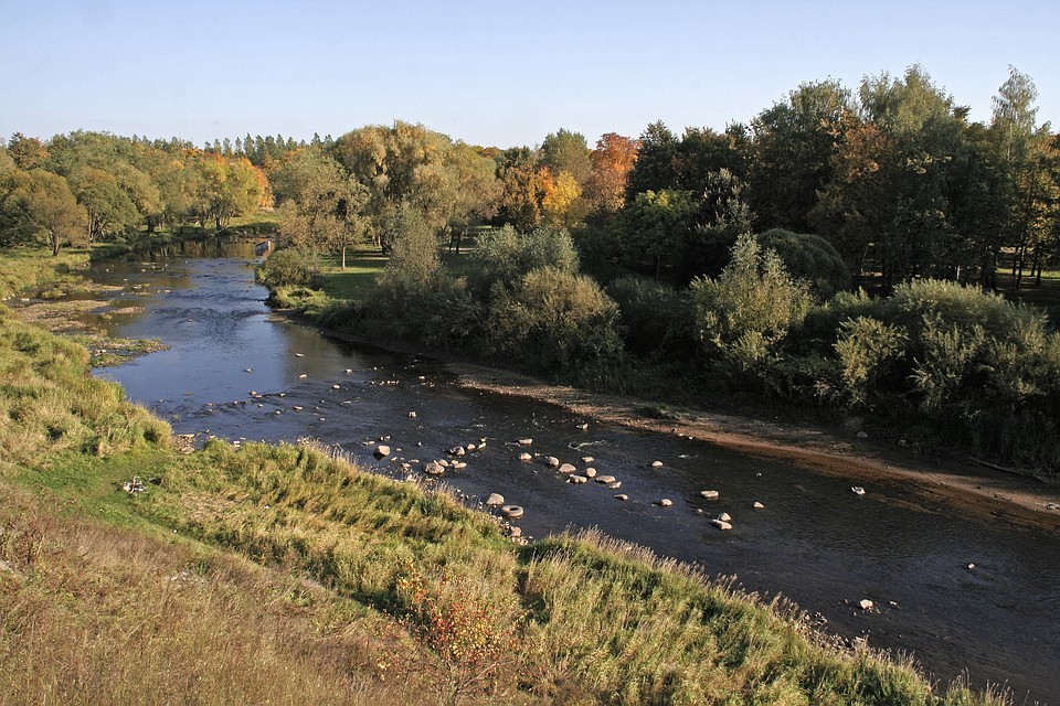 Купаться можно и в реке Великой в районе Городища