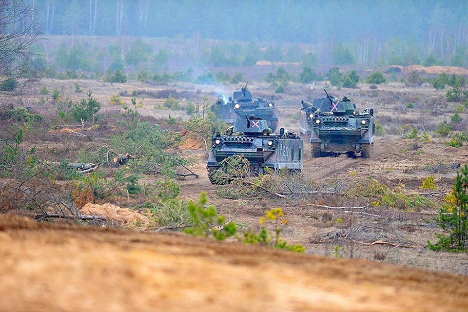 В Литве вырубят леса для расширения военных полигонов. Фото: с сайта obzor.lt