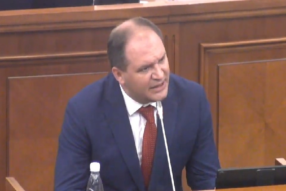 Вице-спикер отметил, что как только демократы оказались в оппозиции, они тут же вдруг вспомнили о букве закон. Фото: скриншот из видео