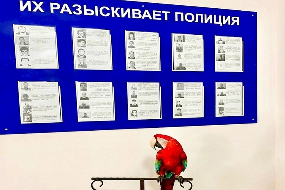 Фото: администрация Анапы