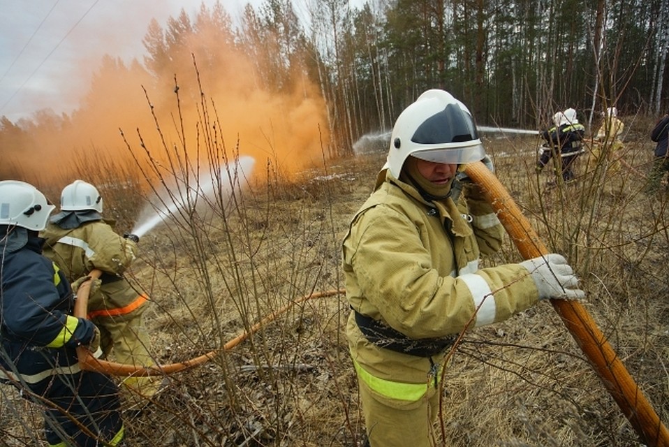 В июне лесная подстилка в окрестностях Воронежа горела несколько раз