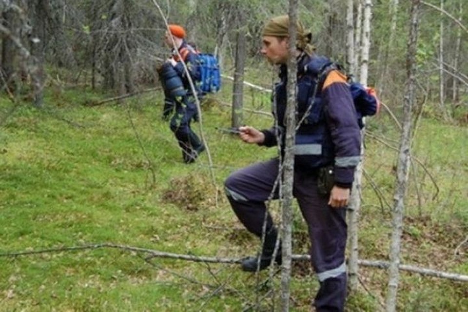 Спасатели искали мужчину в лесу