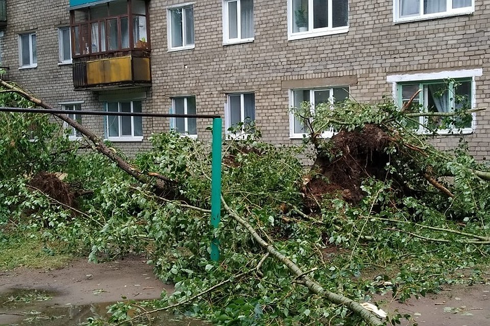 Фото: соцсети