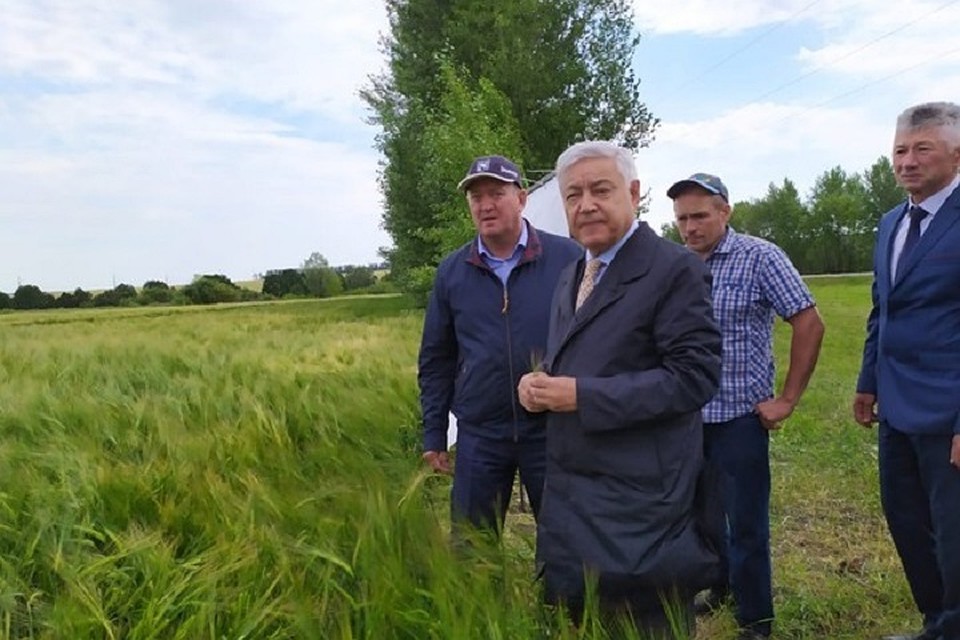 Фото: Из материалов пресс-службы