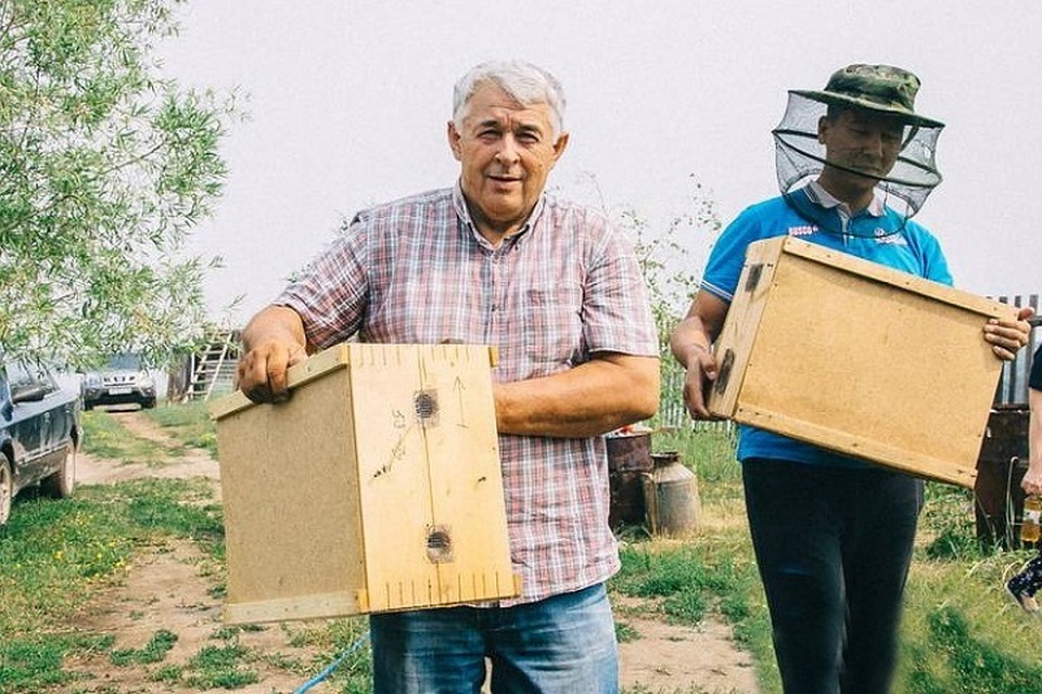 За 35 лет с двух пчелиных семей хозяйство Гаевого выросло до ста трехкорпусных ульев и четырех тонн меда в год.