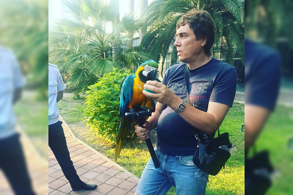 Сине-желтый попугай ара переехал в город Сочи в 2002 году. Фото: instagram.com/ecology.sochi/