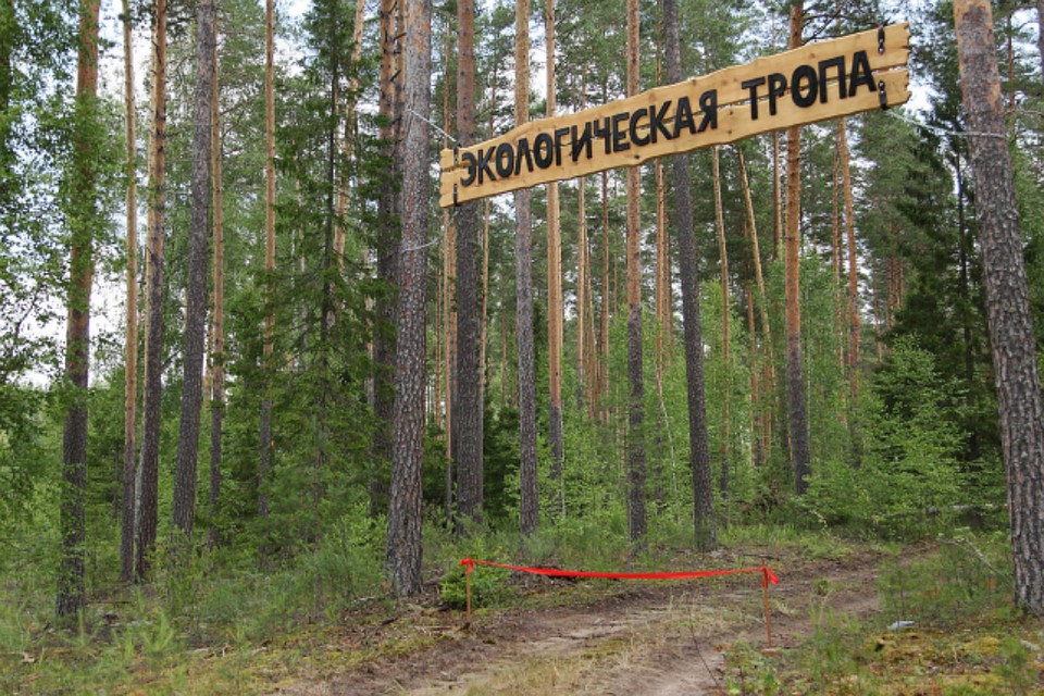 Фото предоставлено ВятГУ
