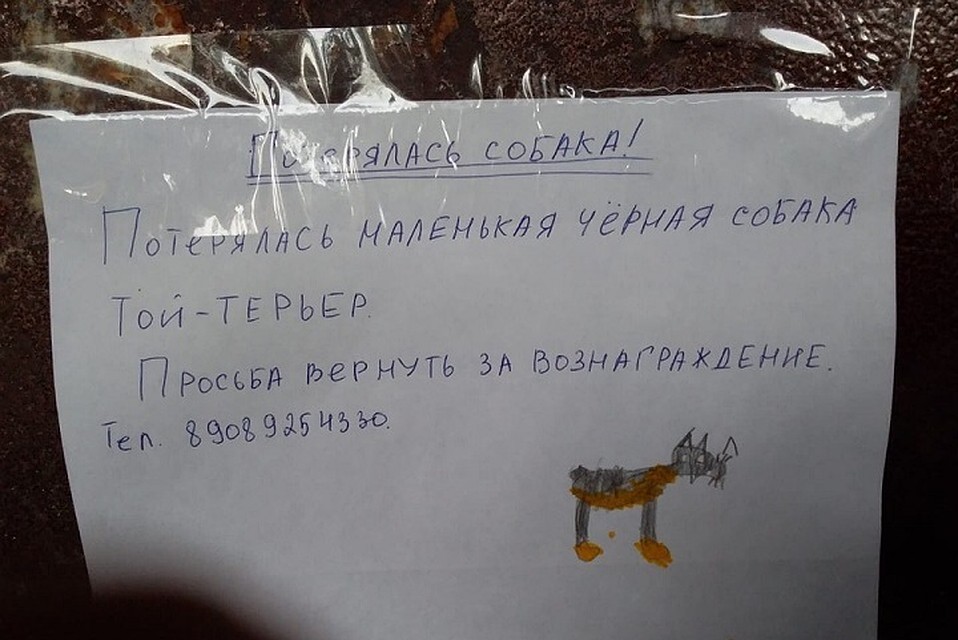 Собаку карандашом нарисовала девочка Юля.