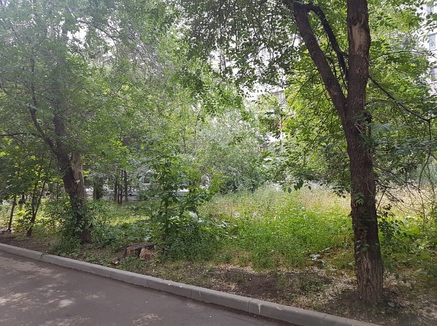 Фото: Алексей Сорокин