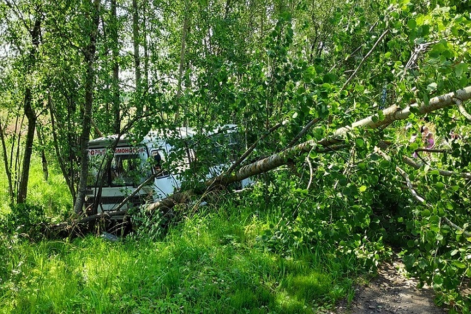Под Петербургом в аварию попала маршрутка. Фото: vk.com/spb_today