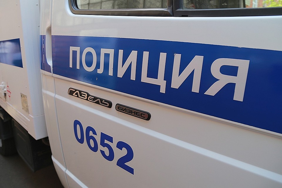 В Красноярском крае мошенники на автоподставах заработали 1,5 миллиона рублей