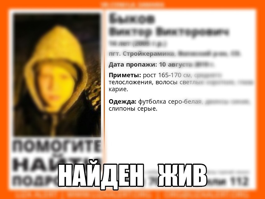 Фото: ДПСО "Лиза Алерт"