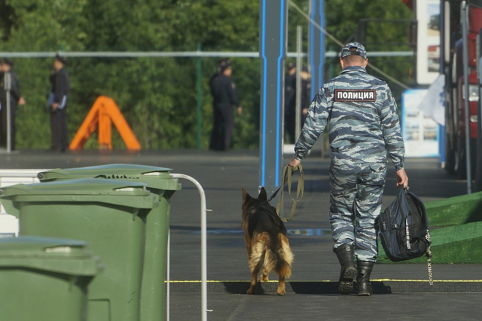 В четырех городах на Дальнем Востоке проверили магазины на наличие взрывчатый устройств