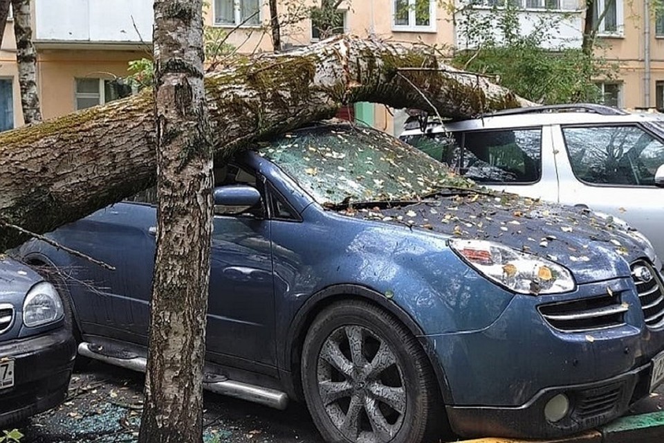 Владельцы автомобилей понесли убытки. Фото: ГО и ЧС по Ростовской области