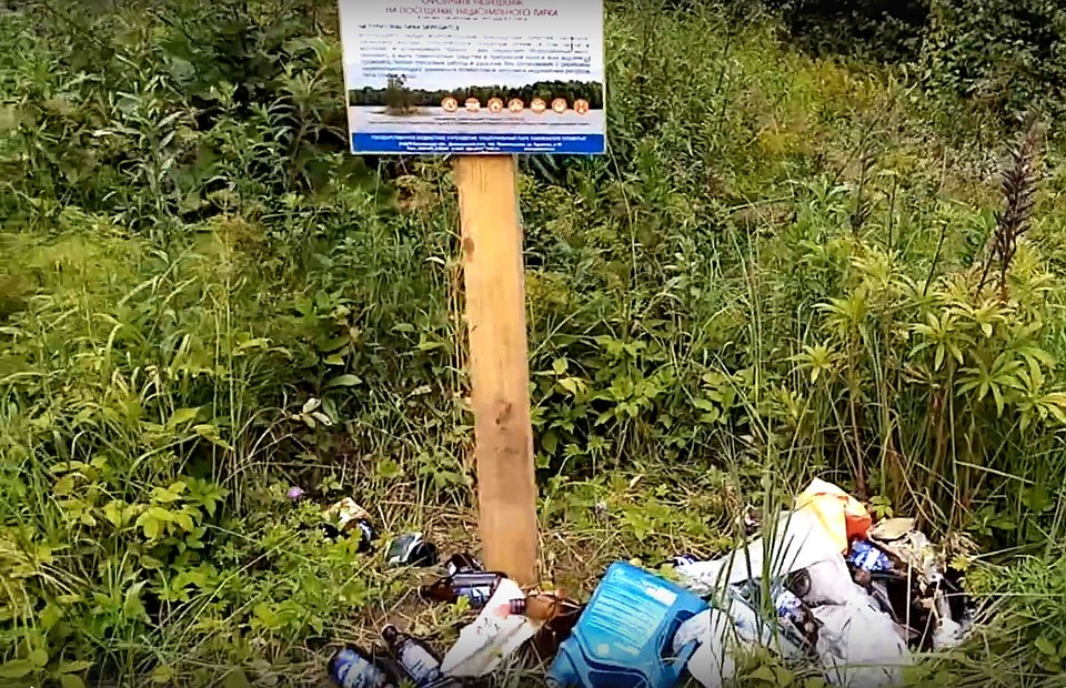 ФОТО: скриншот видео ВКонтакте.